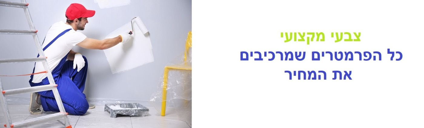 צבעי מקצועי מחיר